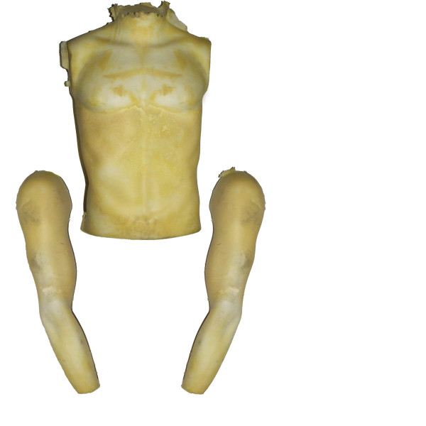 Body Forms Evilusions