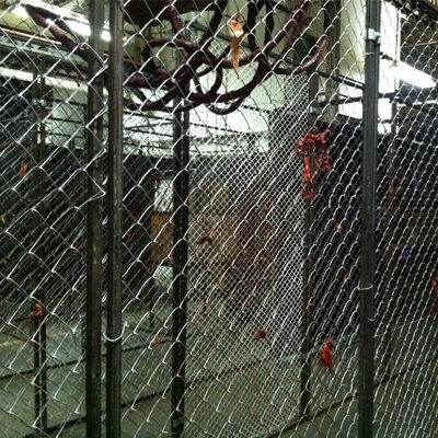 Cage